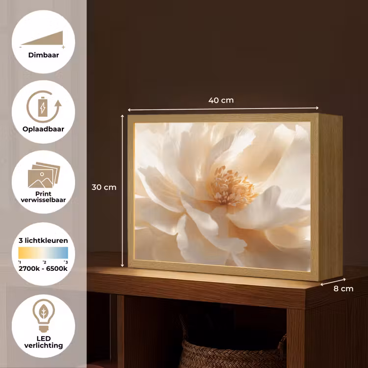 Lightbox - Wandlamp - Close up - Pioenroos - Wit — 10