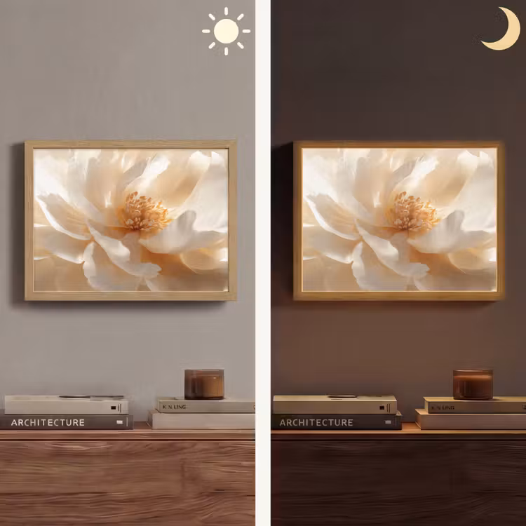 Lightbox - Wandlamp - Close up - Pioenroos - Wit — 6