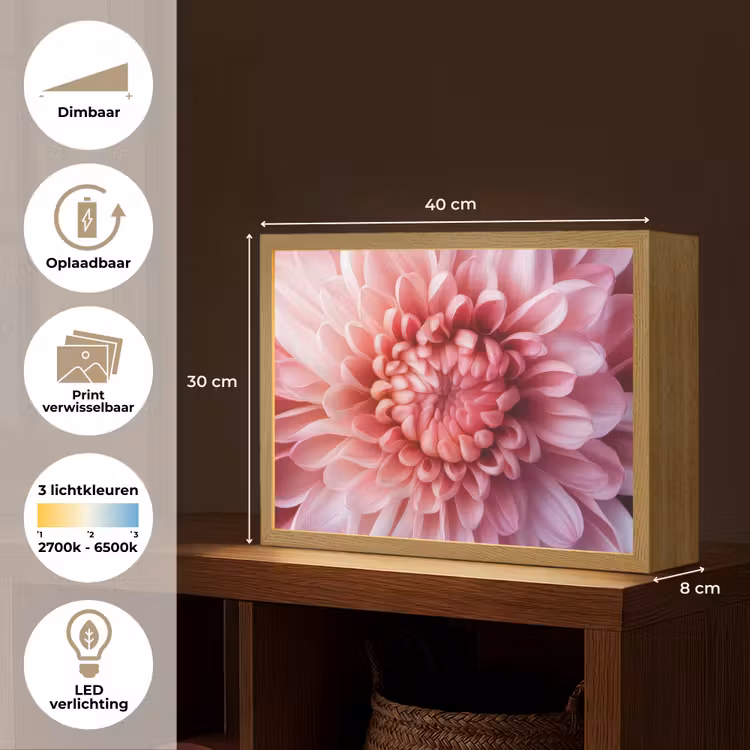 Lightbox - Wandlamp - Dahlia - Bloem - Close up - Roze — 10