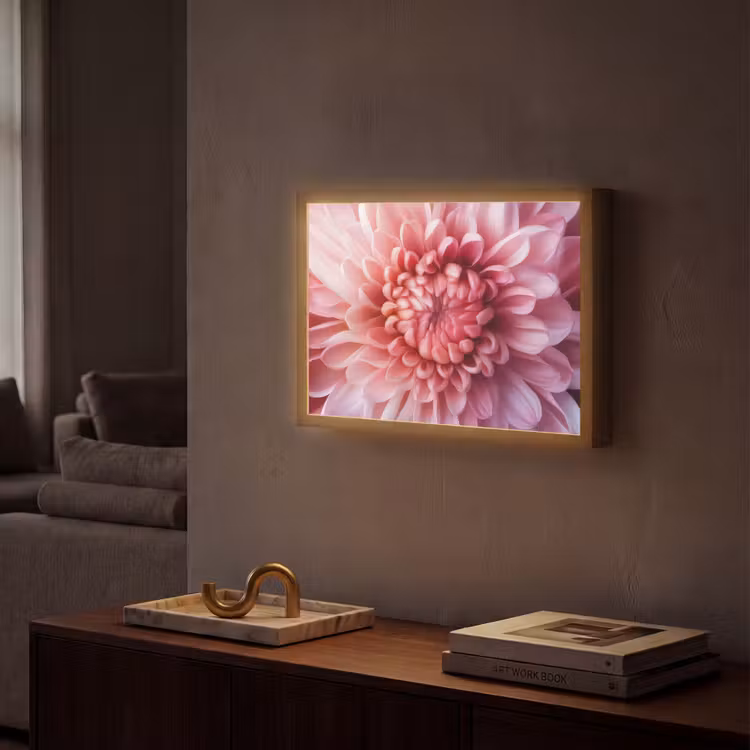 Lightbox - Wandlamp - Dahlia - Bloem - Close up - Roze — 2