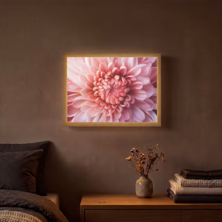 Lightbox - Wandlamp - Dahlia - Bloem - Close up - Roze — 3