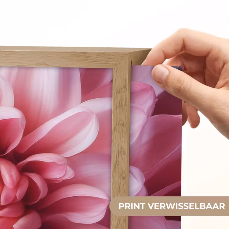 Lightbox - Wandlamp - Dahlia - Bloem - Close up - Roze — 5
