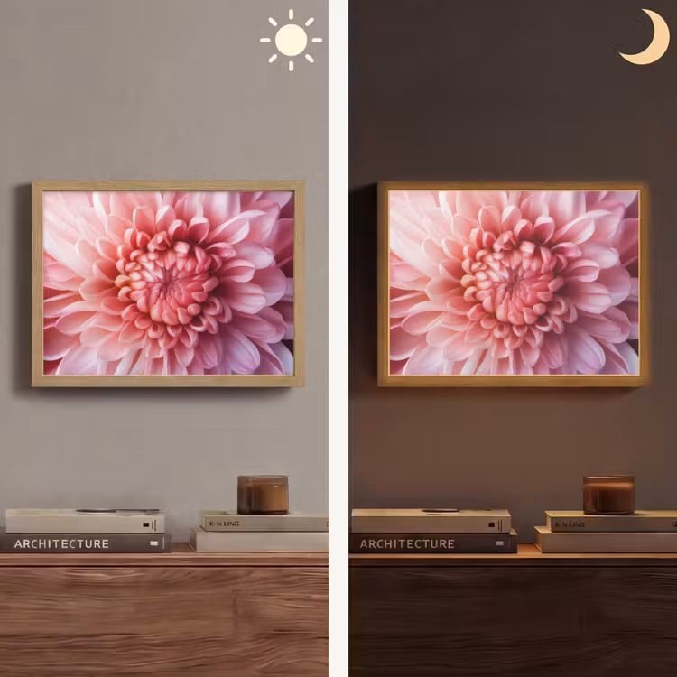 Lightbox - Wandlamp - Dahlia - Bloem - Close up - Roze — 6