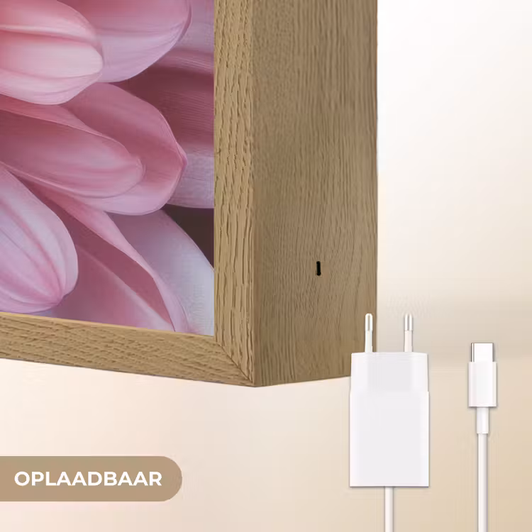 Lightbox - Wandlamp - Dahlia - Bloem - Close up - Roze — 7