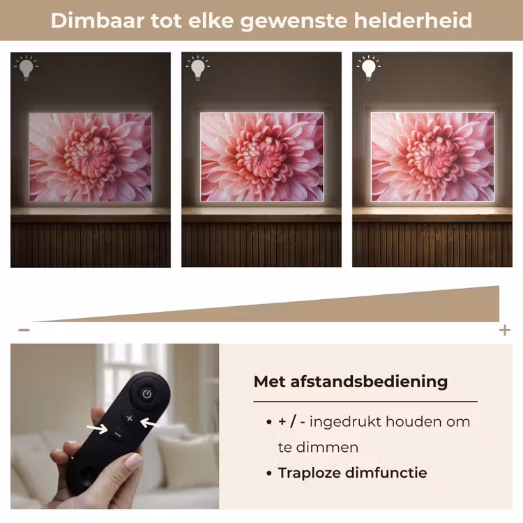 Lightbox - Wandlamp - Dahlia - Bloem - Close up - Roze — 9