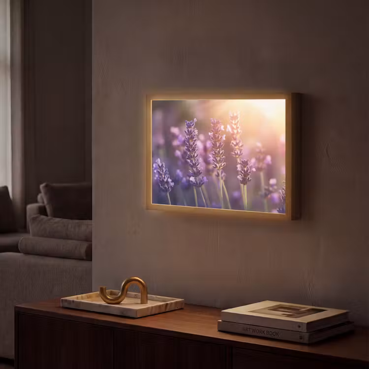 Lightbox - Wandlamp - Lavendelbloemen - Paars - Zonlicht — 2