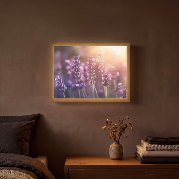 Lightbox - Wandlamp - Lavendelbloemen - Paars - Zonlicht — 3