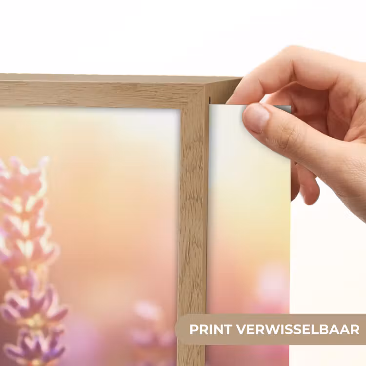 Lightbox - Wandlamp - Lavendelbloemen - Paars - Zonlicht — 5