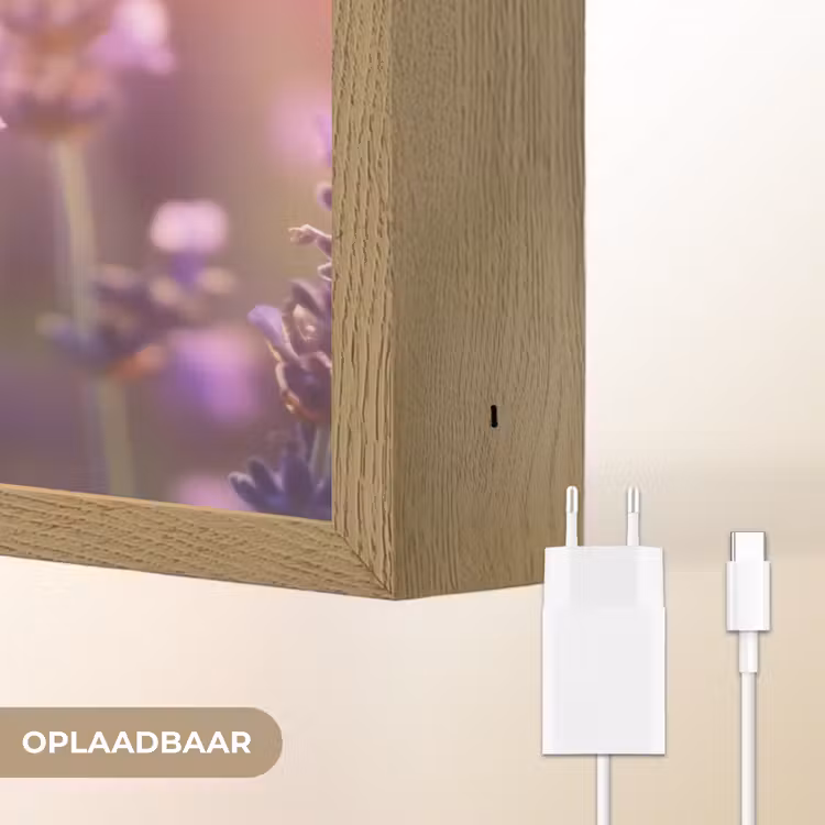 Lightbox - Wandlamp - Lavendelbloemen - Paars - Zonlicht — 7