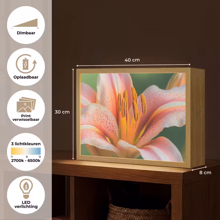 Lightbox - Wandlamp - Lelie - Close up - Lichtroze — 10