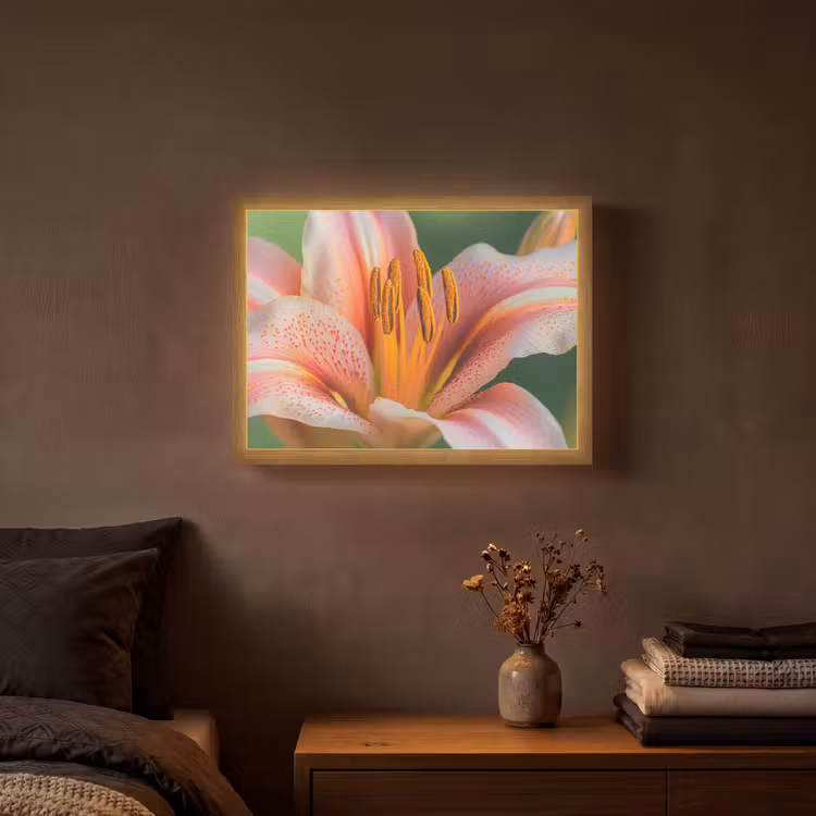 Lightbox - Wandlamp - Lelie - Close up - Lichtroze — 3