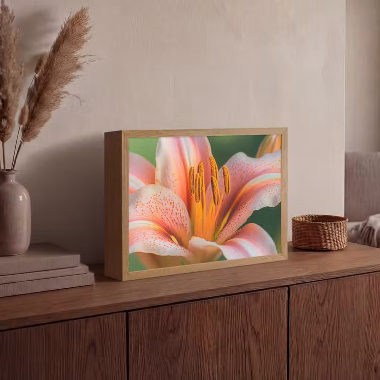 Lightbox - Wandlamp - Lelie - Close up - Lichtroze — 4