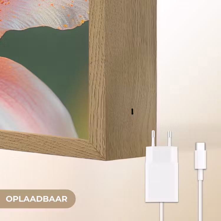 Lightbox - Wandlamp - Lelie - Close up - Lichtroze — 7