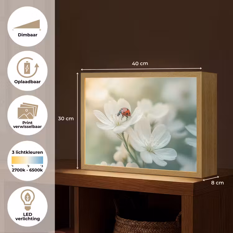 Lightbox - Wandlamp - Lieveheersbeestje - Bloemen - Wit — 10