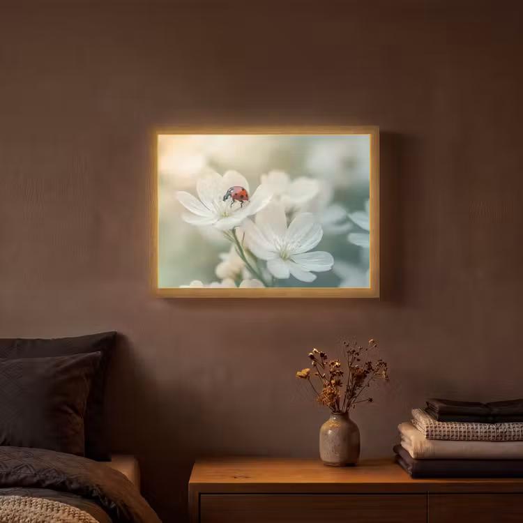 Lightbox - Wandlamp - Lieveheersbeestje - Bloemen - Wit — 3