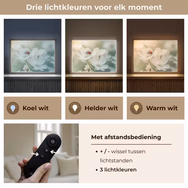 Lightbox - Wandlamp - Lieveheersbeestje - Bloemen - Wit — 8
