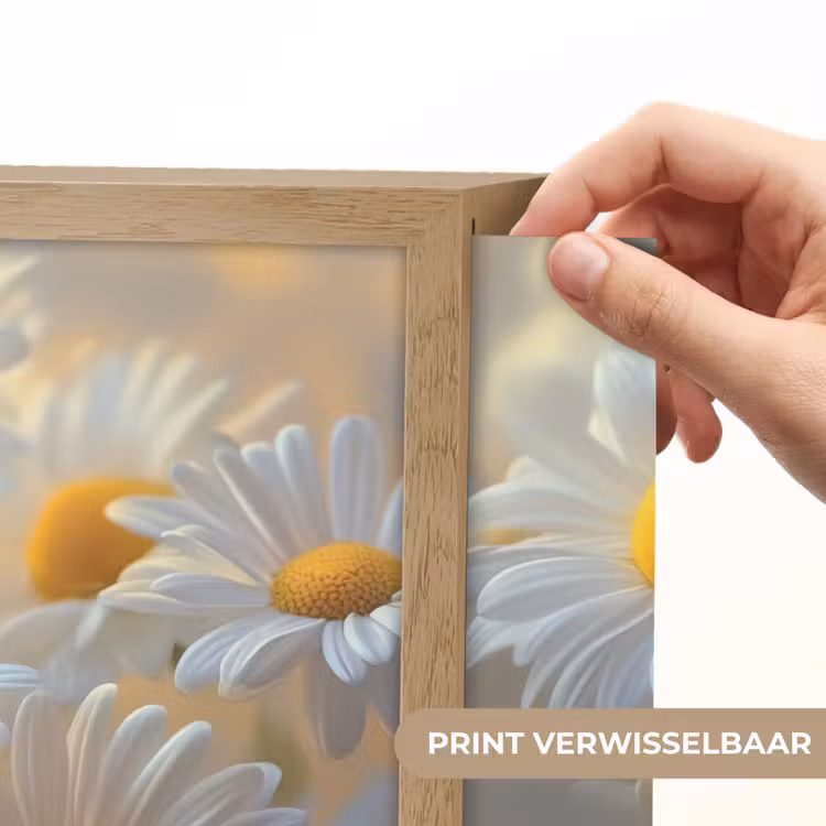 Lightbox - Wandlamp - Madeliefjes - Wit - Zonlicht — 5