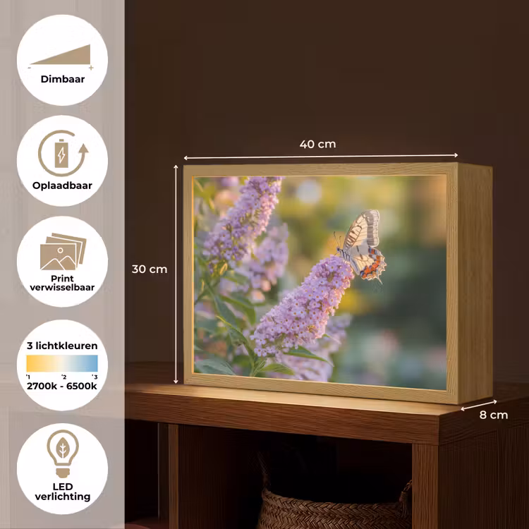 Lightbox - Wandlamp - Sierlijke - Vlinder - Paarse - Bloemen — 10