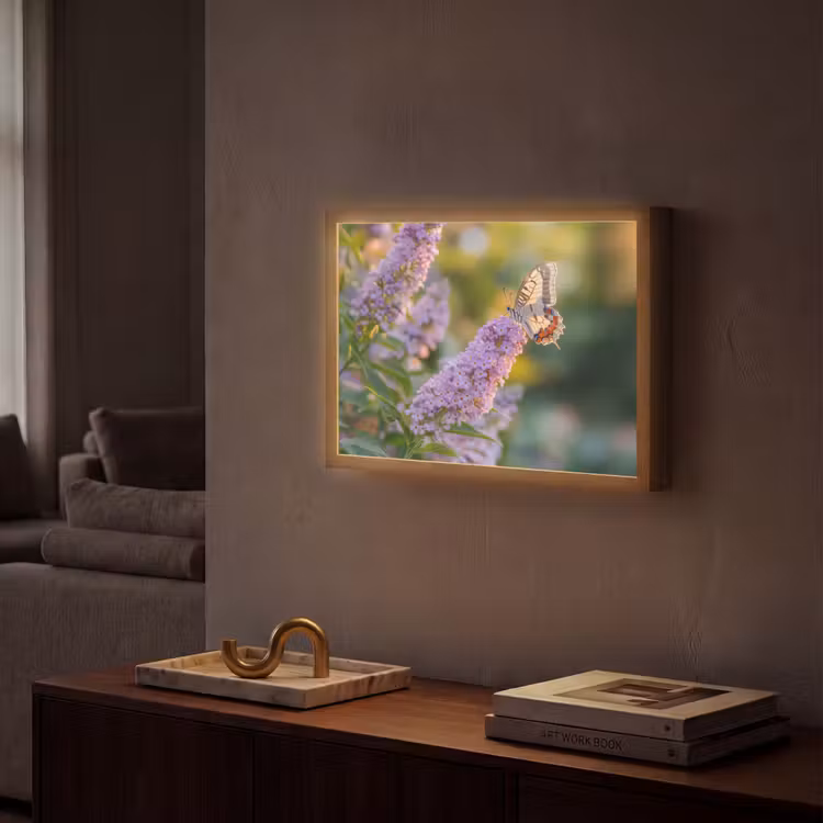 Lightbox - Wandlamp - Sierlijke - Vlinder - Paarse - Bloemen — 2