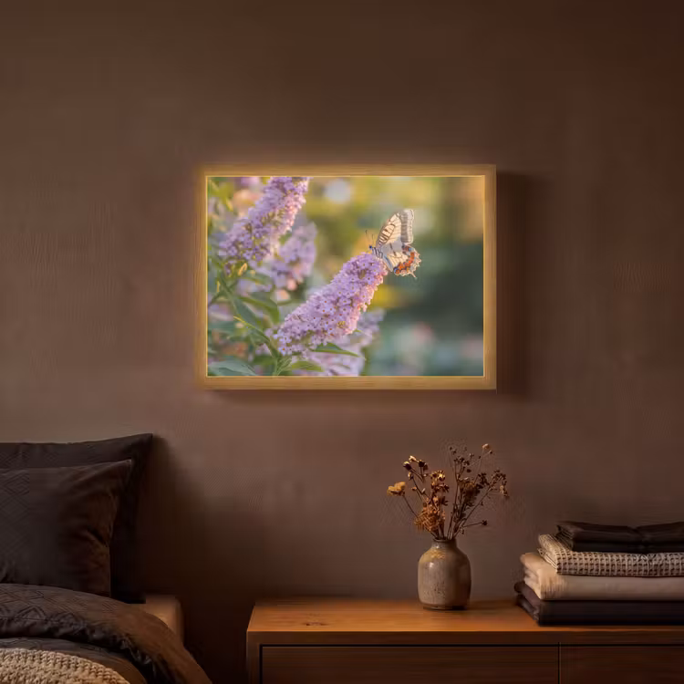 Lightbox - Wandlamp - Sierlijke - Vlinder - Paarse - Bloemen — 3