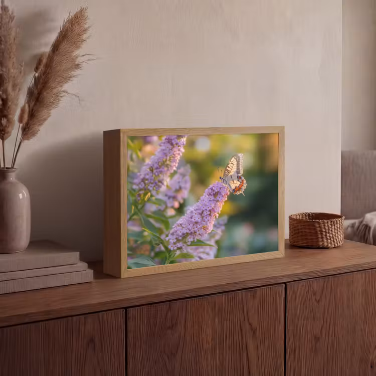 Lightbox - Wandlamp - Sierlijke - Vlinder - Paarse - Bloemen — 4