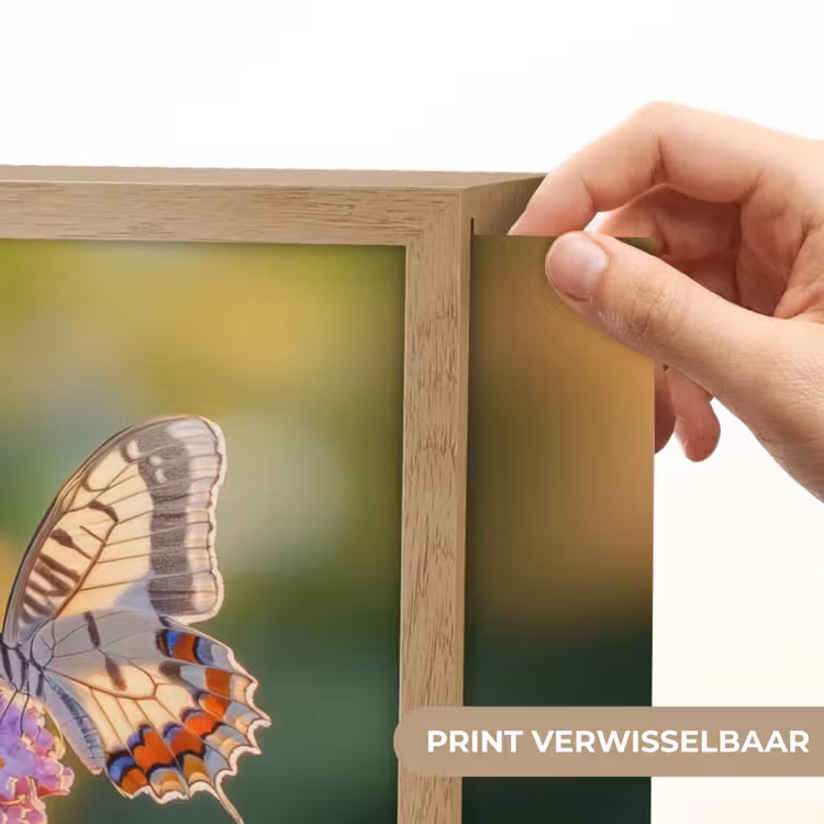 Lightbox - Wandlamp - Sierlijke - Vlinder - Paarse - Bloemen — 5