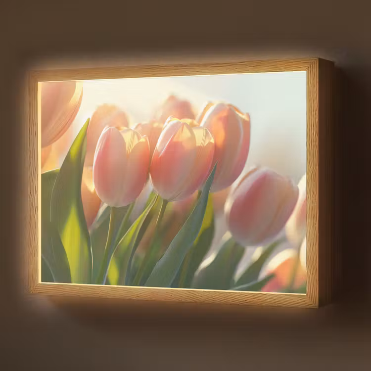 Lightbox - Wandlamp - Tulpen - Roze - Zonnestralen — 1