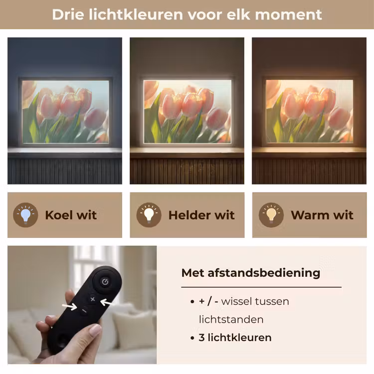 Lightbox - Wandlamp - Tulpen - Roze - Zonnestralen — 8