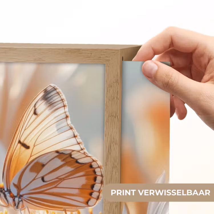 Lightbox - Wandlamp - Vlinder - Bloem - Oranje — 5