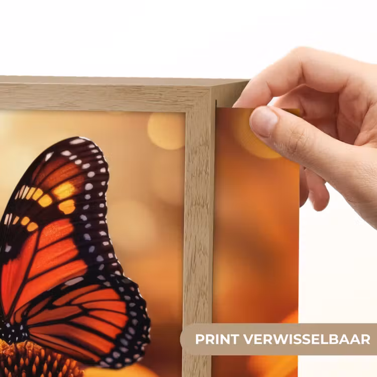 Lightbox - Wandlamp - Vlinder - Bloemen - Oranje — 5