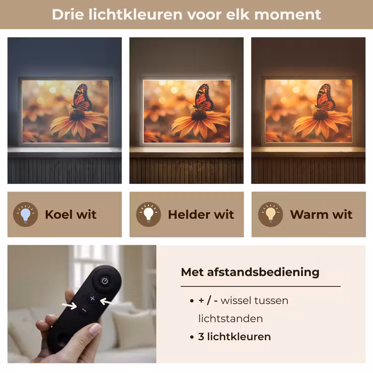 Lightbox - Wandlamp - Vlinder - Bloemen - Oranje — 8
