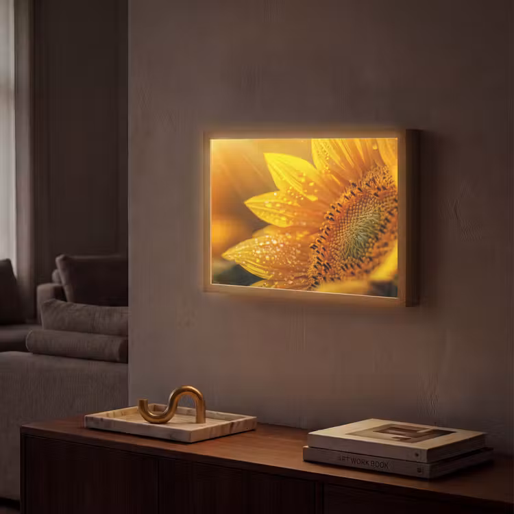 Lightbox - Wandlamp - Zonnebloem - Dauwdruppels - Geel - Zonlicht — 2