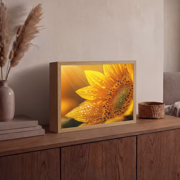 Lightbox - Wandlamp - Zonnebloem - Dauwdruppels - Geel - Zonlicht — 4
