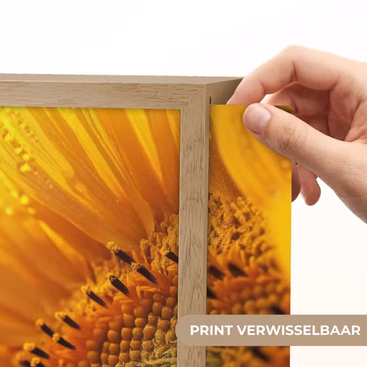 Lightbox - Wandlamp - Zonnebloem - Dauwdruppels - Geel - Zonlicht — 5