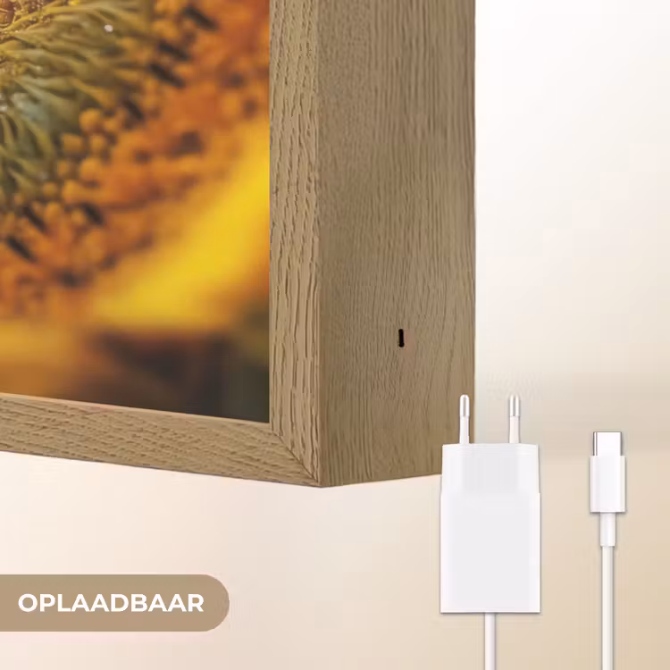 Lightbox - Wandlamp - Zonnebloem - Dauwdruppels - Geel - Zonlicht — 7