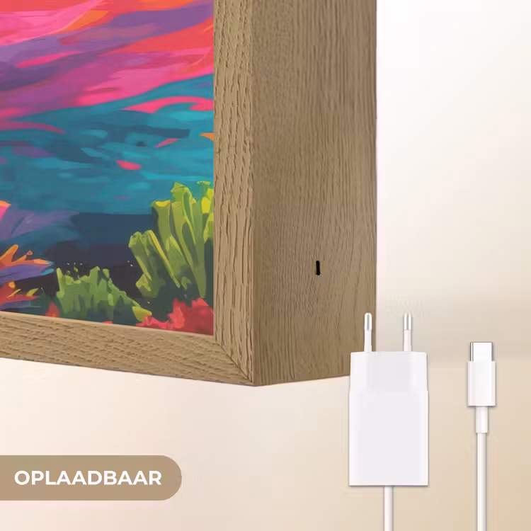 Lightbox - Wandlamp - Dolfijn - Kleurrijk - Oceaan - Koraal — 7