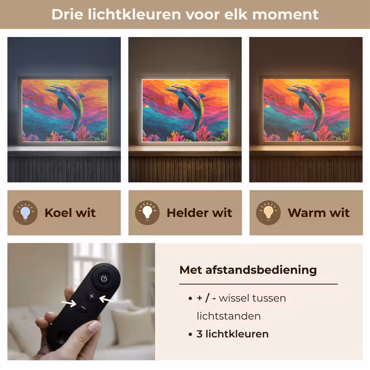 Lightbox - Wandlamp - Dolfijn - Kleurrijk - Oceaan - Koraal — 8