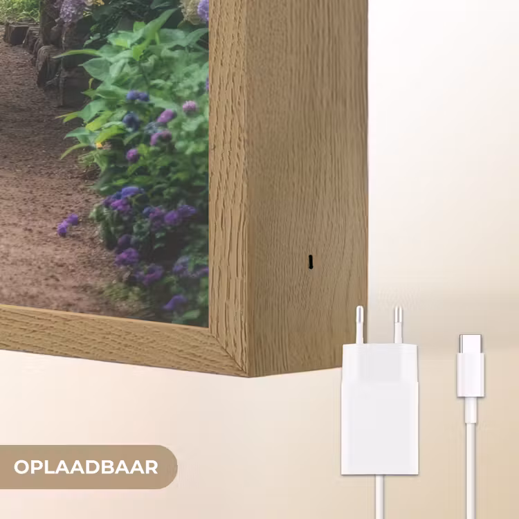 Lightbox - Wandlamp - Doorkijk - Bloemen - Hortensia - Pad — 6