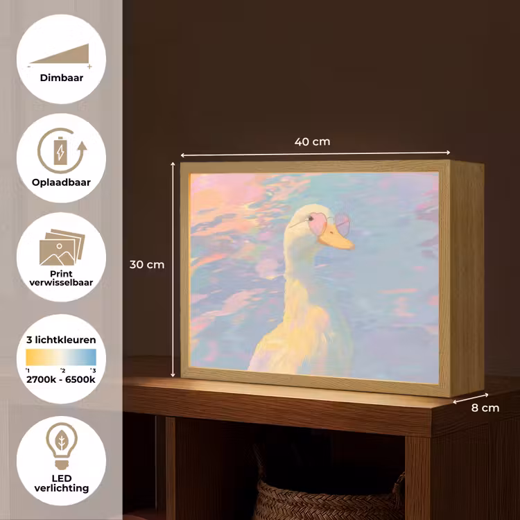 Lightbox - Wandlamp - Eend - Zonnebril - Water — 10