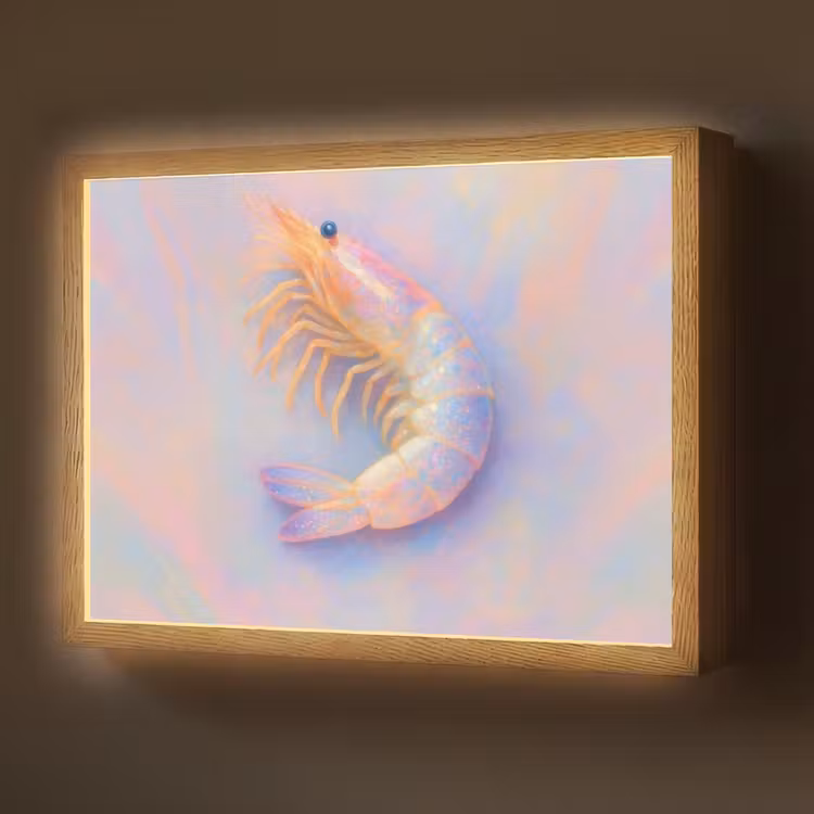 Lightbox - Wandlamp - Garnaal - Subtiele structuur - Blauw - Roze — 1