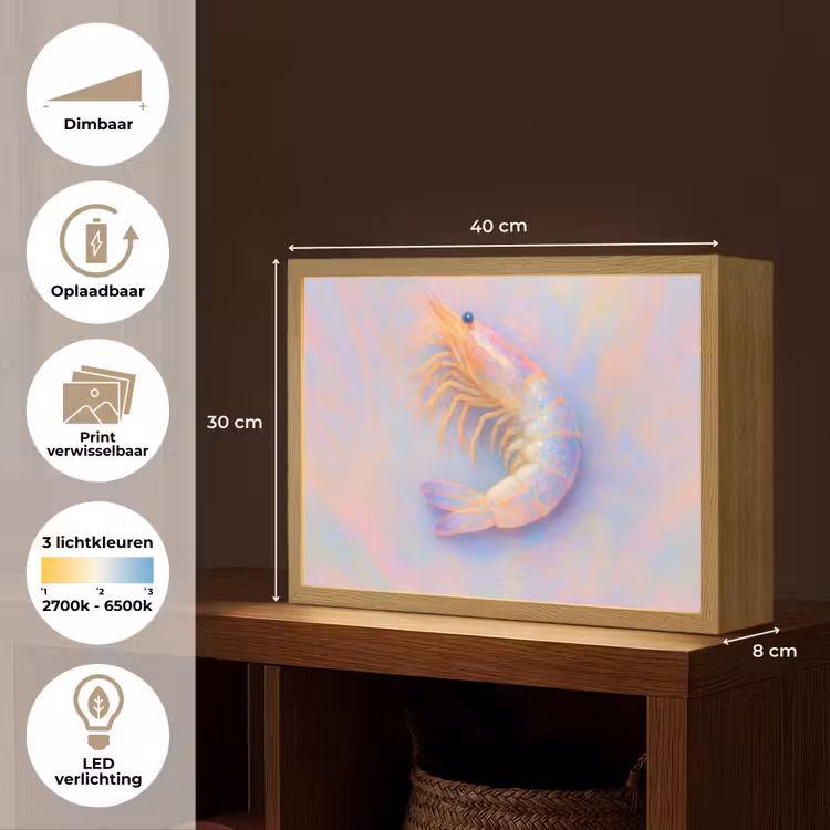 Lightbox - Wandlamp - Garnaal - Subtiele structuur - Blauw - Roze — 10