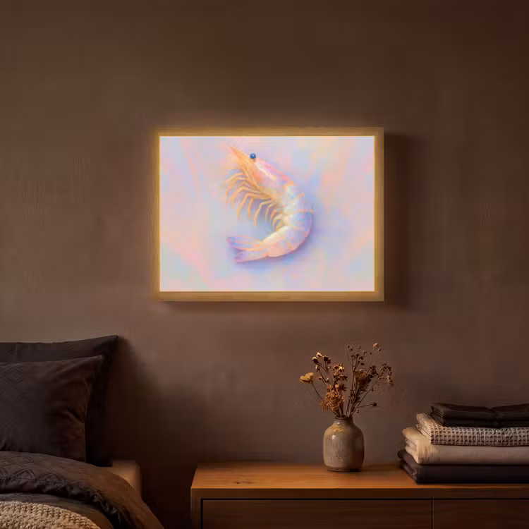 Lightbox - Wandlamp - Garnaal - Subtiele structuur - Blauw - Roze — 3