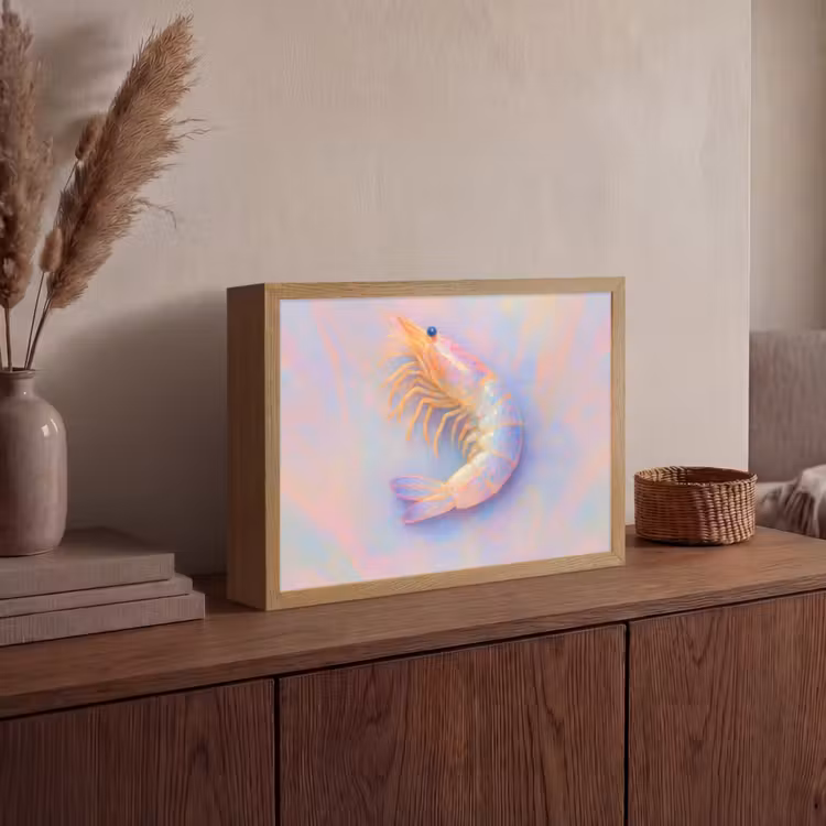 Lightbox - Wandlamp - Garnaal - Subtiele structuur - Blauw - Roze — 4