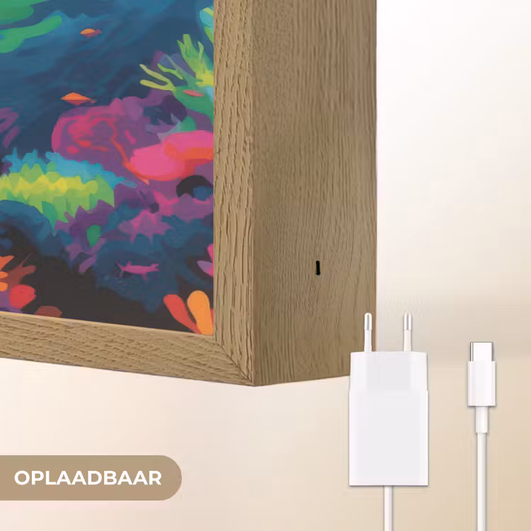 Lightbox - Wandlamp - Haai - Koraalrif - Abstract - Kleurrijk — 7