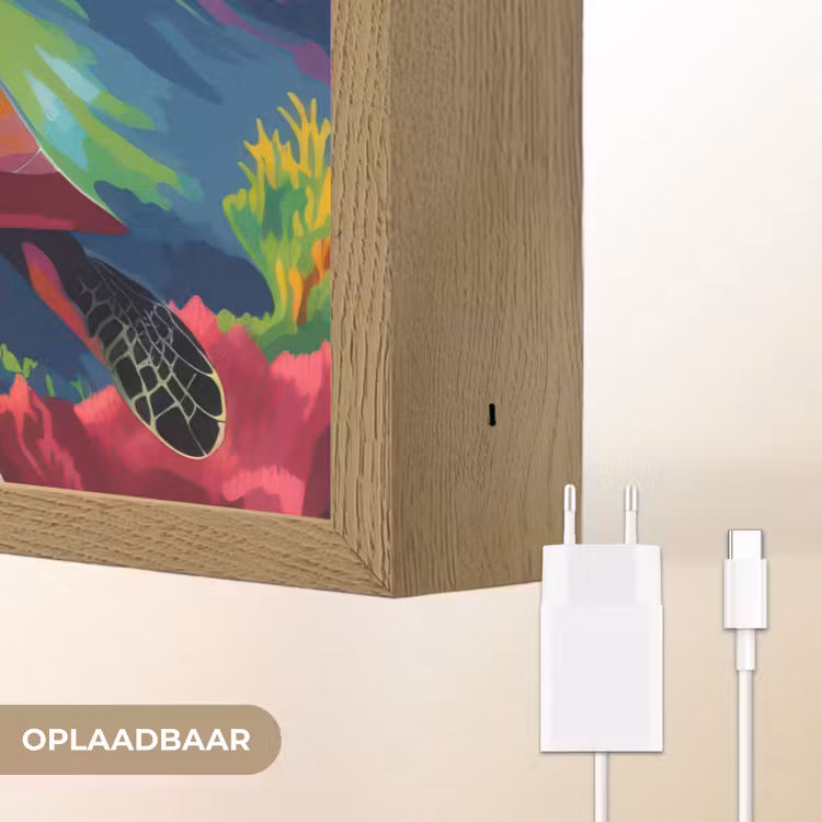 Lightbox - Wandlamp - Koraal - Schildpad - Abstract - Water — 7