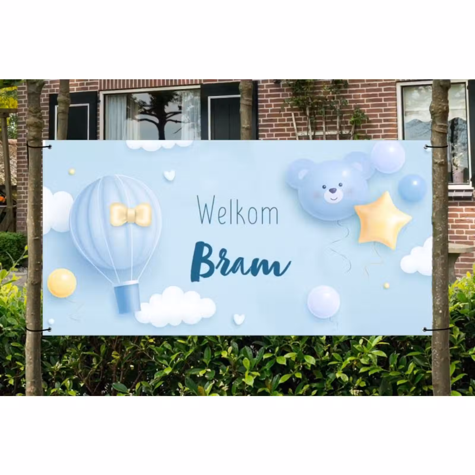 Spandoek - Geboorte - Jongen — 1