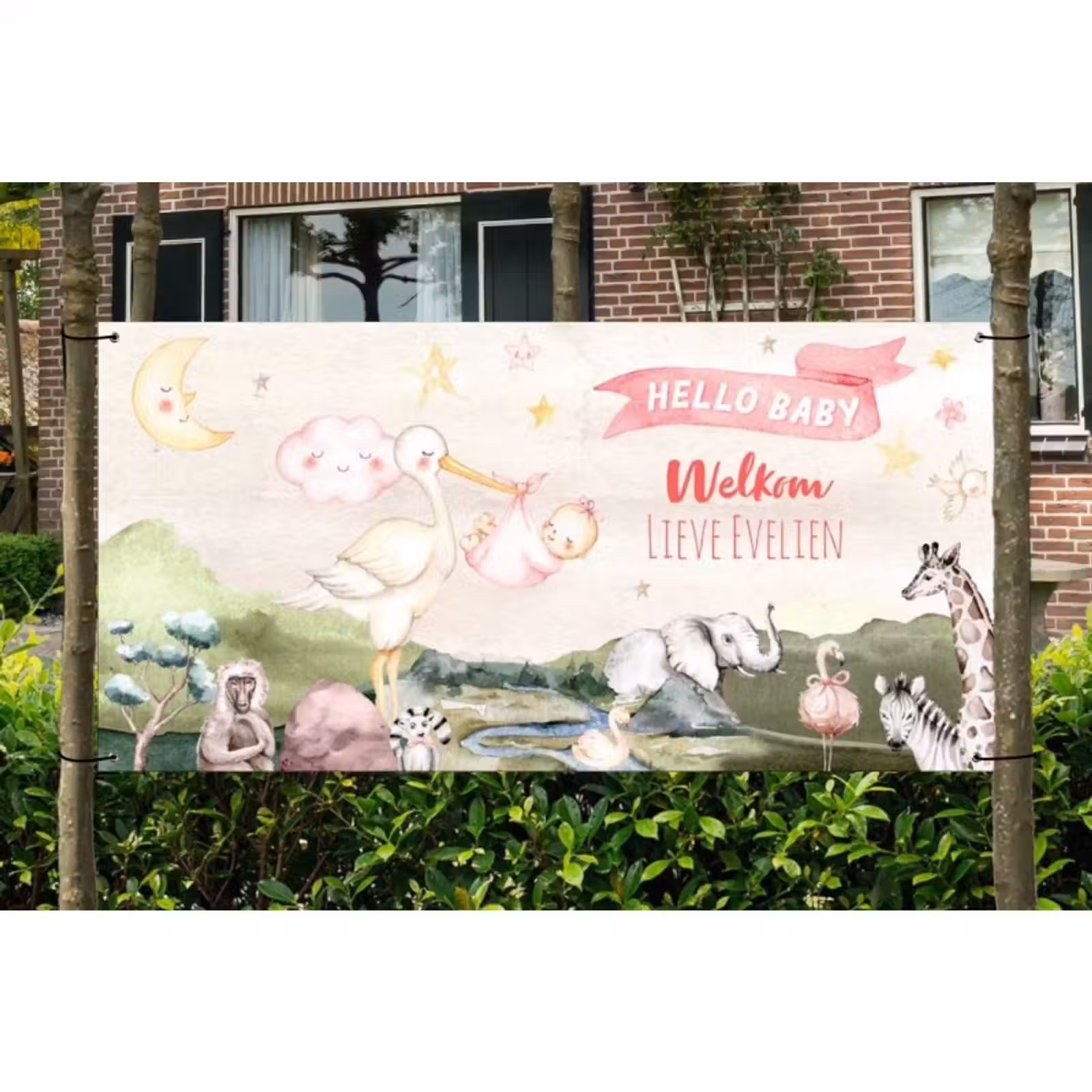 Spandoek - Geboorte - Meisje - Dieren — 1