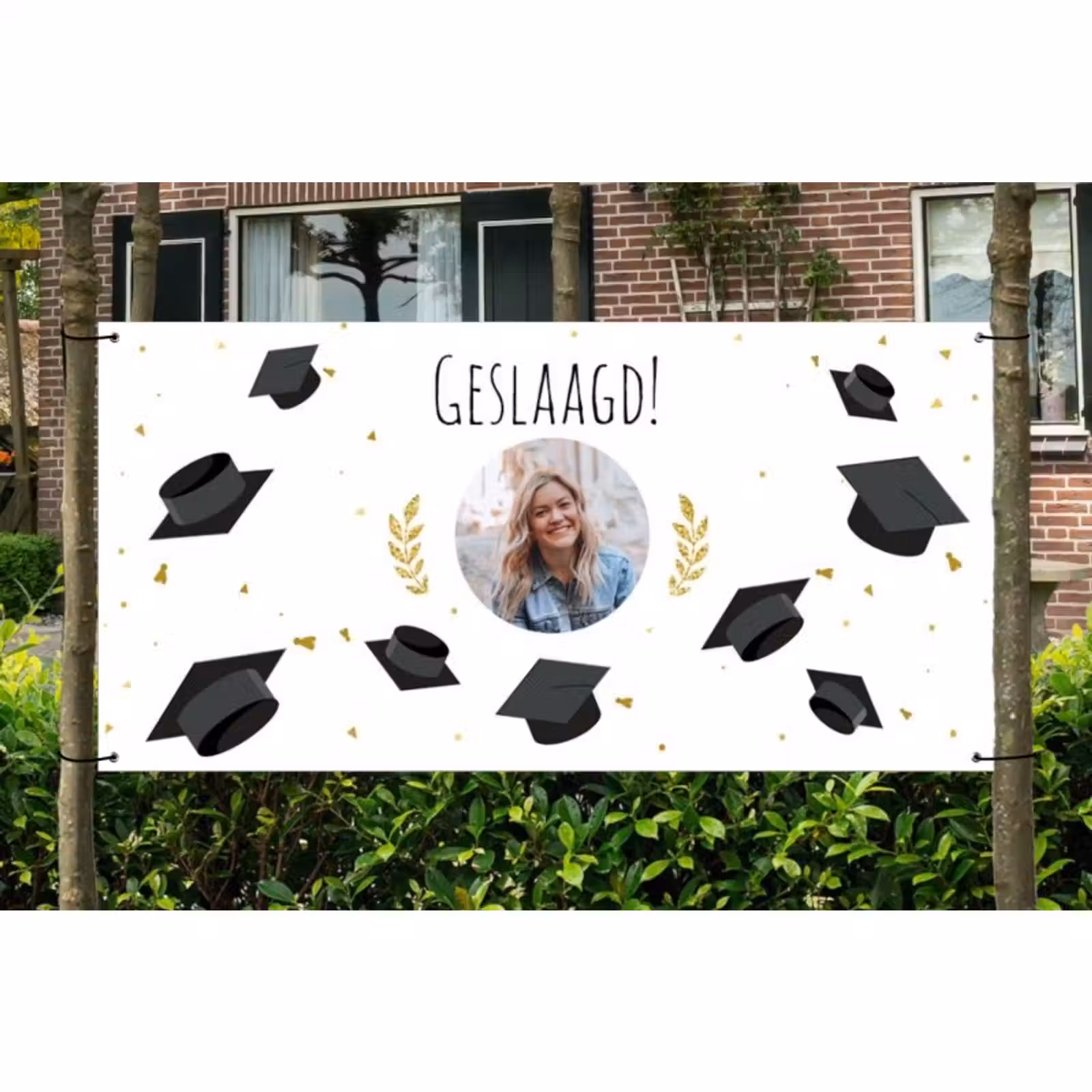 Spandoek - Geslaagd — 1