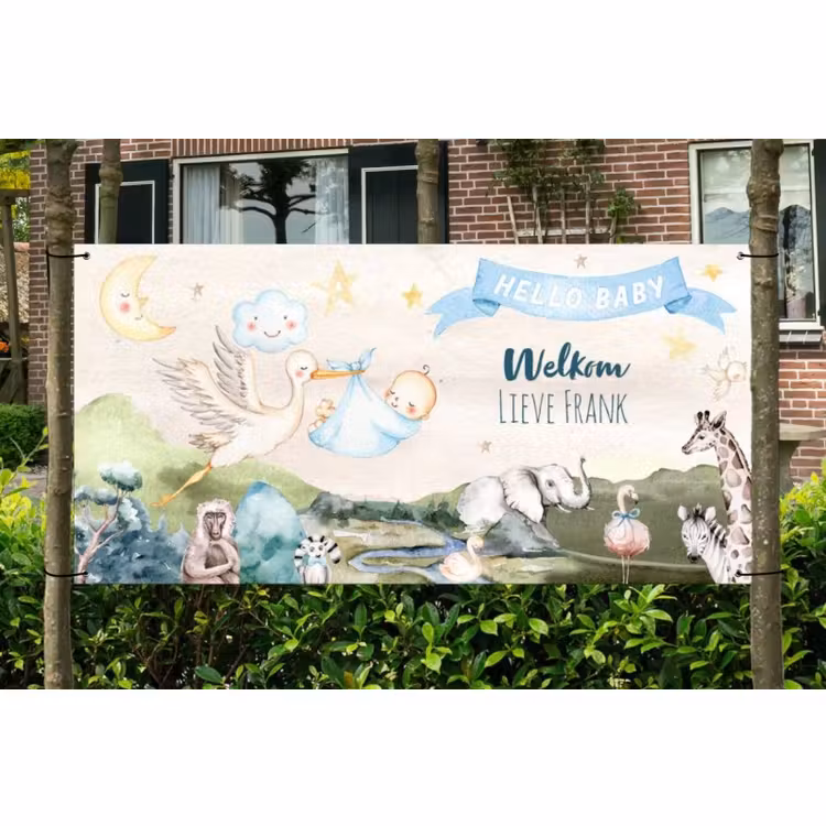 Spandoek - Geboorte - Jongen - Dieren — 1