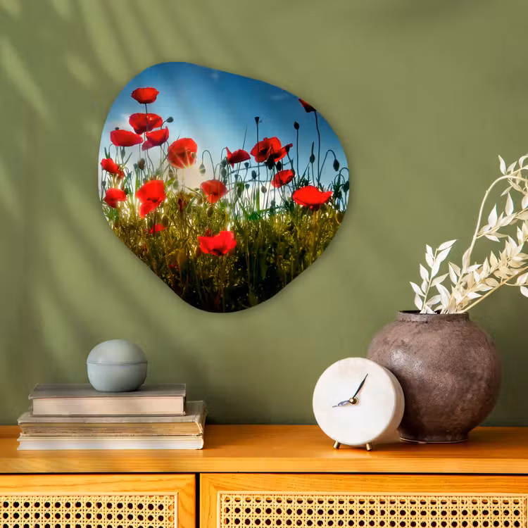 Organisch schilderij - Forex - Klaprozen - Toscane - Zon - Rood - Blauw — 2